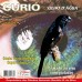 CD GERALDO CURIO OLHO D`AGUA