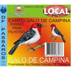 9327 - CD GALO CAMPINA DF