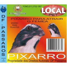 9331 - CD TRINCA FER.CHAMA FEMEA DF