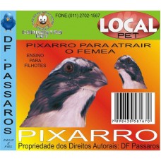 16982 - CD TRINCA FER.CHAMA FEMEA DF