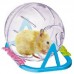 GLOBO ACRIL.HAMS PEQ.PLAST PET 13X13CM