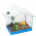AQUARIO BETA CASINHA DECORADA GRD