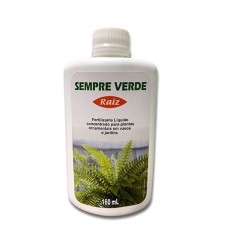 10538 - SEMPRE VERDE RAIZ 160ML R.0846