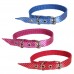 COL.NYLON PAETE N.0 LION PET