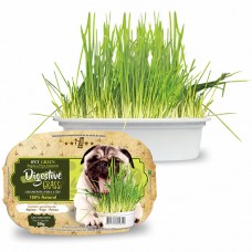 21457 - GRAMINHA P/CAES DIGESTIVE GRASS 50GR.