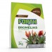 FORTH SUBSTRATO BROMELIA PRONTO USO 2KG