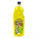 ELIM.DE ODORES GENIAL CITRUS 2L