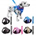 CONJ PEIT.GUIA NEOPRENE P LION PET