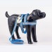 CONJ.GUIA E PEIT REFLETIVO P LION PET