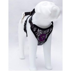 19437 - CONJ.GUIA COLETE FRESH PRETO G LION PET