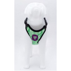 19413 - CONJ.GUIA COLETE FRESH VERDE G LION PET
