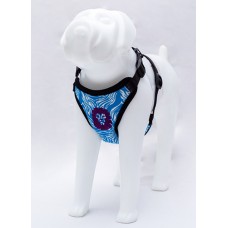 19425 - CONJ.GUIA COLETE FRESH AZUL G LION PET