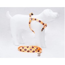 19293 - CONJ.GUIA PEIT.AMERIC.G AMARELO LION PET