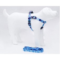 19300 - CONJ.GUIA PEIT.AMERIC.G AZUL LION PET