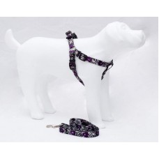 19438 - CONJ.GUIA PEIT.AMERIC.G PRETO LION PET