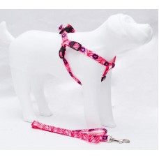 19296 - CONJ.GUIA PEIT.AMERIC.G ROSA LION PET