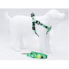 19289 - CONJ.GUIA PEIT.AMERIC.G VERDE LION PET