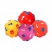 BRINQ.BOLA PATA/OSSO R.M-54