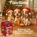 PANETTONE PARA CAES 80G LION PET