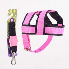 17236 - KIT PREMIUM PEIT.GUIA GRD P PORTE LION