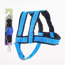 17237 - KIT PREMIUM PEIT.GUIA GRD PORTE M LION