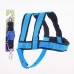 KIT PREMIUM PEIT.GUIA GRD PORTE M LION