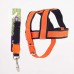KIT PREMIUM PEIT.GUIA GRD PORTE GG LION