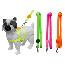 51834 - CONJ.PEIT.GUIA POP SEDA NEON G LION PET