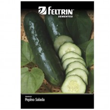 18552 - SEMENTE PEPINO VERDE COMPRIDO C/25U