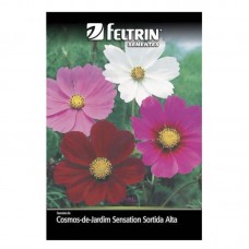 18582 - SEMENTE COSMOS DE JARDIM SENSATION C/20U