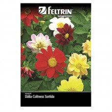 52109 - SEMENTE DALIA COLTNEES SORTIDA C/20U