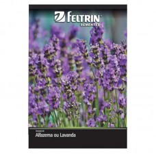 52111 - SEMENTE ALFAZEMA OU LAVANDA C/20U