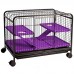 FAUNA PET ROE P BLACK/LILAS