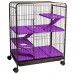 FAUNA PET ROE M BLACK/LILAS