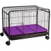 FAUNA PET MULTIUSO P BLACK/LILAS